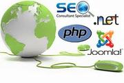 Corporate training on .NET, SEO and PHP with live project