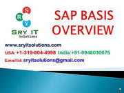 SAP BASIS ONLINE TRAINING IN HYDERABAD INDIA SRYIT SOLUTIONS