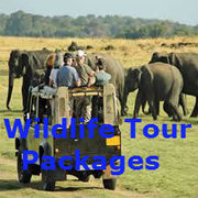  Best Wild Life Tour Package Providers in Dwarka
