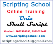 Shell Online Training in Hyderabad India