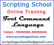 TCL Script Online Training in Hyderabad India