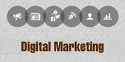 we are offering Training  & placement  Digital Marketing
