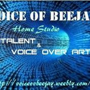 Senior Voice Over Artist Available for Presentations