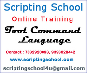 TCL Script Online Training Institute Hyderabad