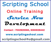 Service Now Development Online Training In Hyderabad