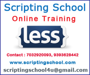 LESS Online Training Institute in Hyderabad