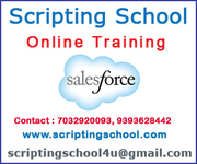 Salesforce Online Training Institute in Hyderabad