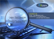 Online training on SoapUI testing with most advanced concepts