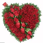 Send Flowers Vijayawada	