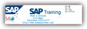 Top SAP TESTING  Training institute in Hyderabad