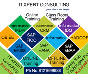 SALESFORCE, OBIEE, SAP FICO, SAP BASIS, SAP HANA, SAP ABAP, INFORMATICA MDM