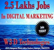 Digital Marketing Training in Hyderabad at W3D Technologies