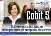 Looking for Online Cobit 5 Certification Training 