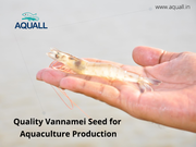 Get aquaculture seeds from best sellers online in India – Aquall