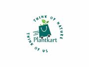 Best seeds and bulbs online at low prices in India | PlantKart
