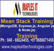 Mean Stack Training Ameerpet, Hyderabad.