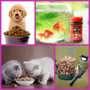Dog Accessories Online - Low Prices on Popular Products,  india