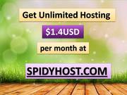 Web Hosting