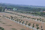 RESIDENTIAL PLOTS FOR SALE IN KOTHUR