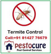 Termite Control Services in Kukatpally Hyderabad