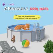SCIFIKIDS - ARNIMALS New Version Augmented Reality Educational Kit 