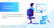 CMS Website Development company 