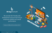 iBridge Techsoft | Digital Marketing | Web Development | Consulting