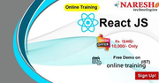 React js online training