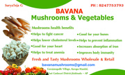 Bavana Mushrooms