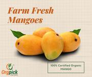  Buy Farm Fresh Mangoes Online