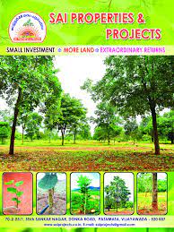 Redsandals Plantation In Andhra Pradesh |Sai Properties