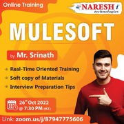 Best MuleSoft Training - NareshIT