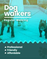 Dog walking services Hyderabad