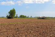 Agriculture land and open plots avail 