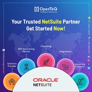 OpenTeQ: NetSuite Implementation Consultant