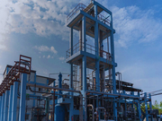 Biomass Processing/Production Plant for Sale