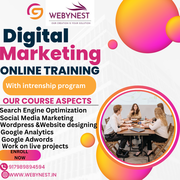 WEBYNEST PROVIDING DIGITAL MARKETING AND WEBSITE DESIGNING