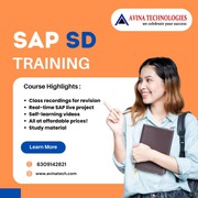 sap sd training in hyderabad, sap sd course in hyderabad, 