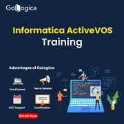Master Informatica ActiveVOS Training with GoLogica