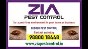 Bed Bug Treatment 100 % Kills Bed Bugs | Bangalore Pest Control | 5030