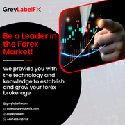 MT5 GreyLabel – The Smartest Way to Start a Forex Brokerage