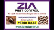 Zia Pest Control | Cockroach service | Anti termite | Wood Borer servi