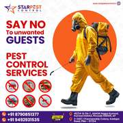 Best Flies and Spider Pest Control Services in Kurnool