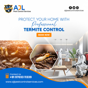 Termite Control Services in Hyderabad