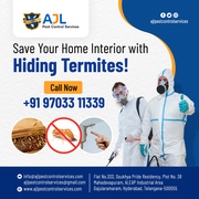 Termite Control Services