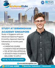 Build Your Global Career at Birmingham Academy Singapore – Powered by